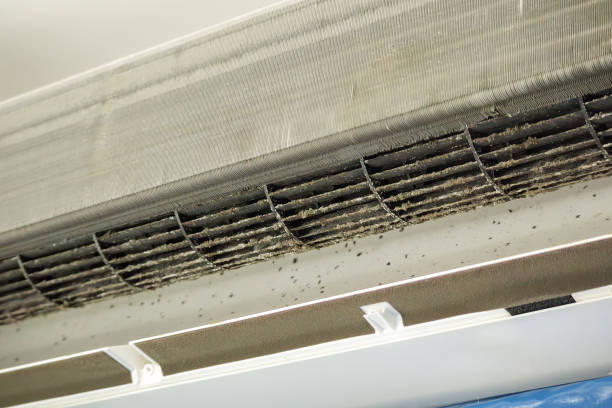 Best Air Duct Mold Removal  in Oakes, ND